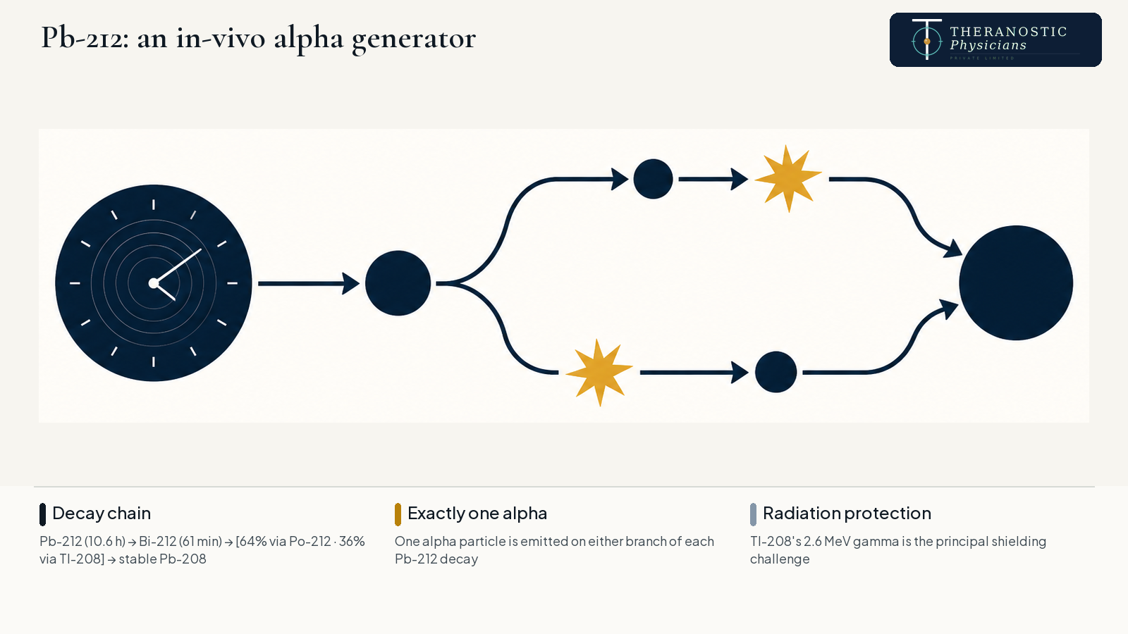 Decay chain diagram showing Pb-212 generating Bi-212 in vivo, with one alpha particle emitted on either branch before reaching stable Pb-208.