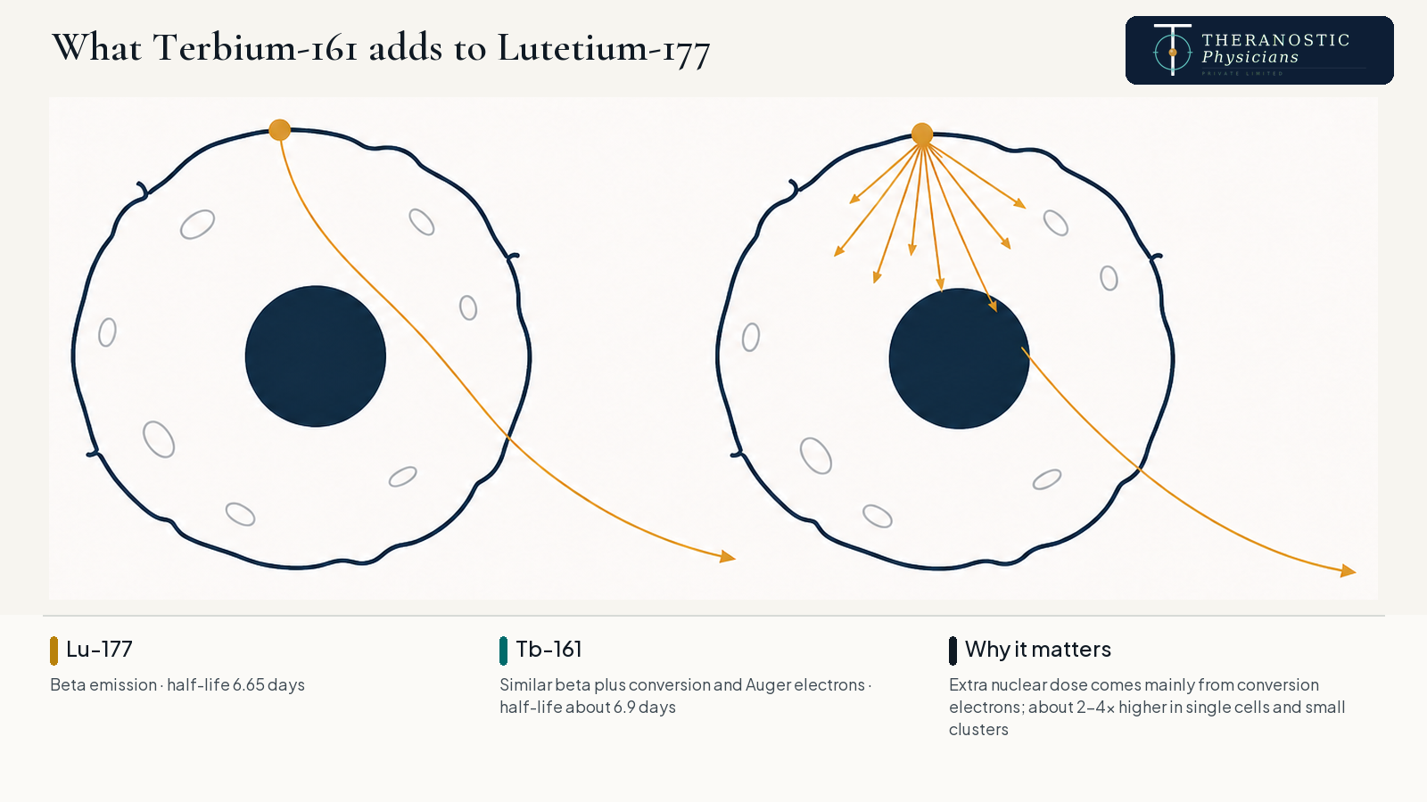 Diagram comparing Lu-177 beta emission with Tb-161, which adds short-range conversion and Auger electrons delivering more dose to the cell nucleus.