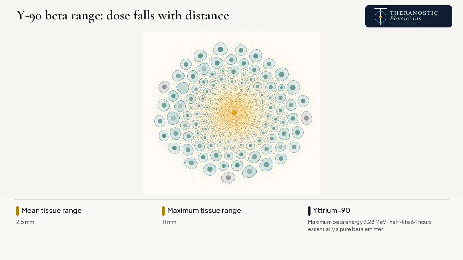 Diagram of Y-90 beta dose falling off with distance, dense within about 2.5 mm and reaching a maximum of 11 mm.